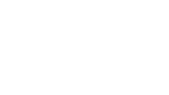 Aston Martin service