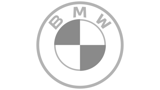 BMW repair specialists